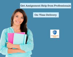 Assignment Help from Professionals